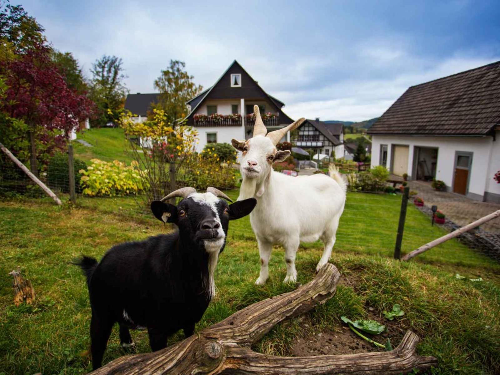 Kornkammer Schmallenberg Exteriör bild