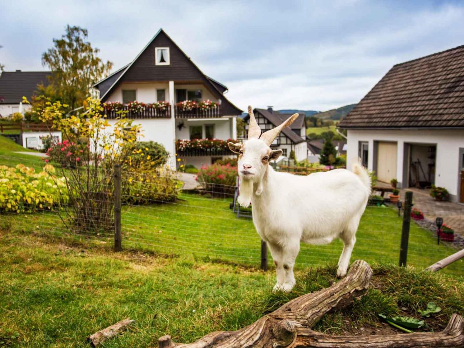 Kornkammer Schmallenberg Exteriör bild