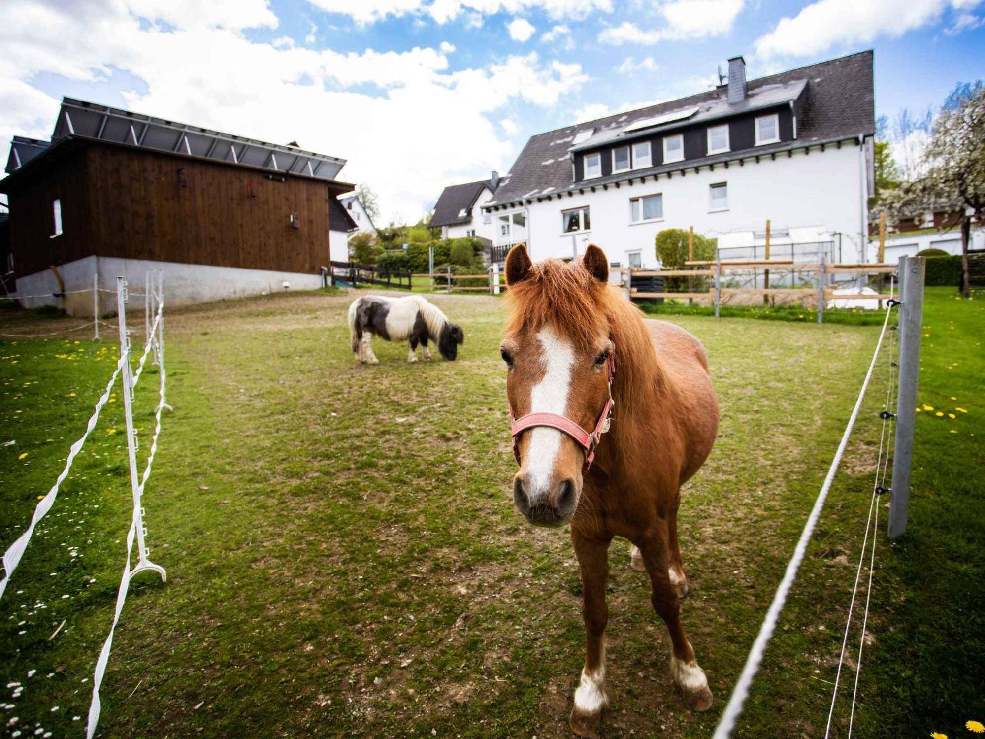 Kornkammer Schmallenberg Exteriör bild